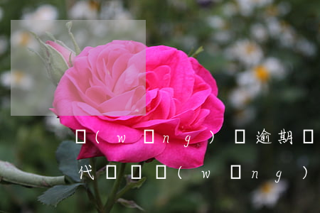 網(wǎng)貸逾期會保險(xiǎn)代償嗎(網(wǎng)貸逾期會影響社保嗎)