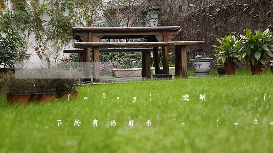 網(wǎng)貸逾期會凍結(jié)名下所有信用卡嗎-網(wǎng)貸逾期會凍結(jié)名下所有信用卡嗎知乎
