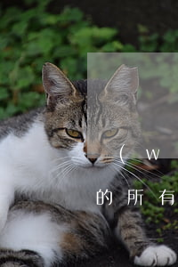 網(wǎng)貸逾期會凍結(jié)我的所有銀行卡嗎-網(wǎng)貸逾期會凍結(jié)我的所有銀行卡嗎安全嗎