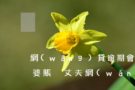 網(wǎng)貸逾期會凍結(jié)老婆賬戶(丈夫網(wǎng)貸逾期妻子銀行卡會被凍結(jié)嗎)