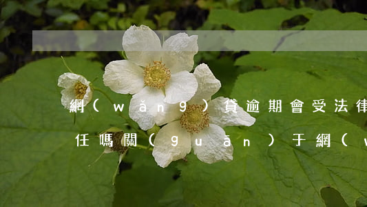 網(wǎng)貸逾期會受法律責(zé)任嗎(關(guān)于網(wǎng)貸逾期的法律)