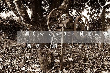 網(wǎng)貸逾期會告訴別人欠款金額嗎(被人網(wǎng)貸什么時候會知道逾期)