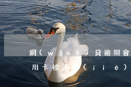 網(wǎng)貸逾期會導(dǎo)致信用卡被凍結(jié)嗎(網(wǎng)貸逾期凍結(jié)了信用卡)