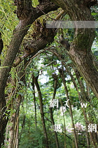 網(wǎng)貸逾期會導致信用卡降額度嗎-網(wǎng)貸逾期會導致信用卡降額度嗎知乎