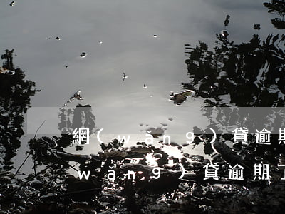 網(wǎng)貸逾期會影響信用分嗎(網(wǎng)貸逾期了會影響信用卡嗎)
