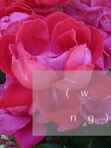 網(wǎng)貸逾期會影響出行嗎(網(wǎng)貸逾期會影響買車嗎)