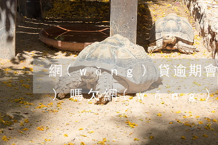 網(wǎng)貸逾期會影響坐飛機(jī)嗎(欠網(wǎng)貸能坐飛機(jī)嗎)