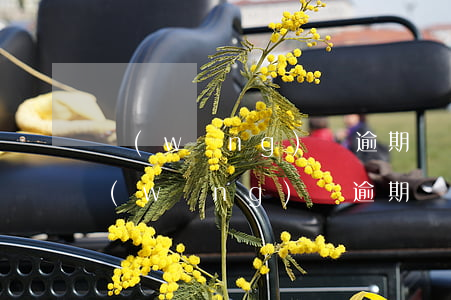 網(wǎng)貸逾期會影響寶寶讀書嗎(網(wǎng)貸逾期會影響到孩子上學(xué)嗎)