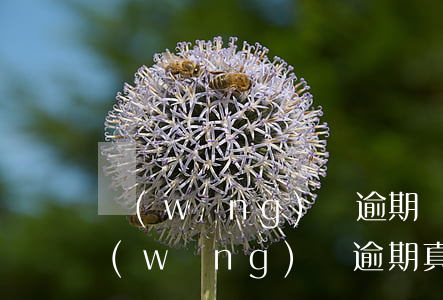 網(wǎng)貸逾期會影響小孩升學嗎(網(wǎng)貸逾期真的會影響孩子上學問題嗎)