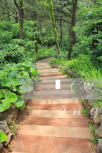 網(wǎng)貸逾期會影響求職嗎(網(wǎng)貸逾期對自己有什么影響)