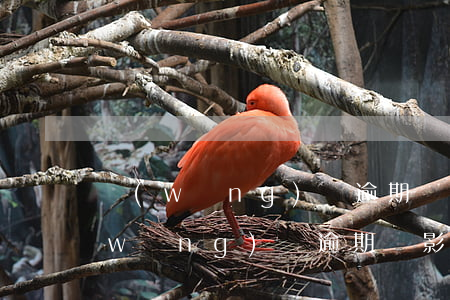網(wǎng)貸逾期會影響父母社保(網(wǎng)貸逾期會影響醫(yī)保嗎)