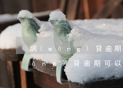 網(wǎng)貸逾期會影響輔警嗎(網(wǎng)貸逾期可以當(dāng)輔警嗎)