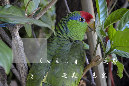 網(wǎng)貸逾期會怎樣-網(wǎng)貸逾期會怎么樣