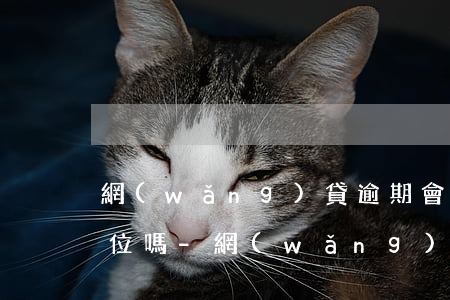 網(wǎng)貸逾期會打電話到新工作單位嗎-網(wǎng)貸逾期會打電話到新工作單位嗎知乎