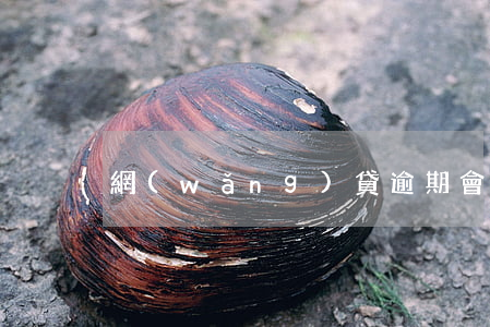 網(wǎng)貸逾期會扣銀行卡么