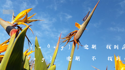 網(wǎng)貸逾期會找到店里嗎(網(wǎng)貸逾期會不會找到公司來)