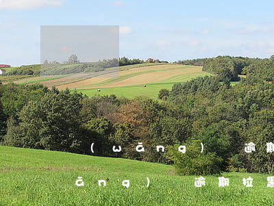 網(wǎng)貸逾期會拉黑名單嗎(網(wǎng)貸逾期拉黑名單有什么后果)