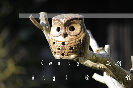 網(wǎng)貸逾期會拍賣汽車嗎(網(wǎng)貸逾期過還能貸款嗎)