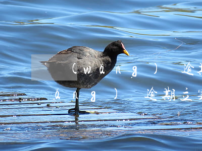 網(wǎng)貸逾期會提前通知嗎(網(wǎng)貸逾期立案通知是真的嗎)