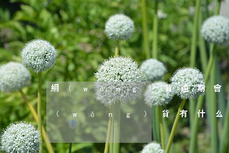 網(wǎng)貸逾期會有哪些問題(逾期網(wǎng)貸有什么后果)