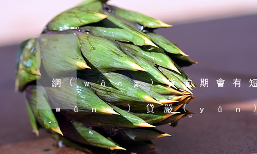 網(wǎng)貸逾期會有短信轟炸嗎(網(wǎng)貸嚴(yán)重逾期警告短信)