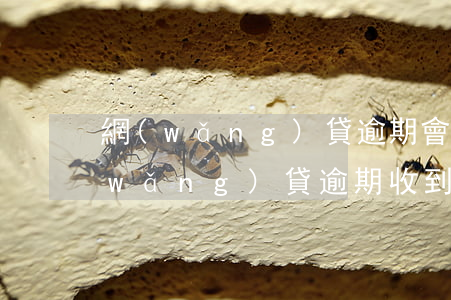 網(wǎng)貸逾期會有短信通知嗎(網(wǎng)貸逾期收到訴訟通知短信)