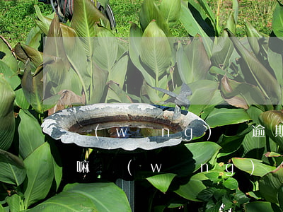 網(wǎng)貸逾期會發(fā)掛號信嘛(網(wǎng)貸逾期會收到掛號信嗎)