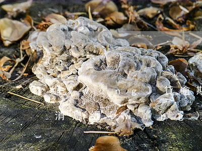 網(wǎng)貸逾期會給好友發(fā)消息(網(wǎng)貸逾期發(fā)信息說要起訴)