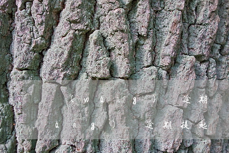 網(wǎng)貸逾期會自己撤訴嗎(網(wǎng)貸逾期提起訴訟了怎么辦)