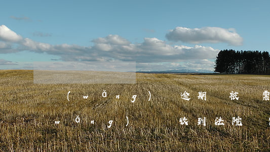 網(wǎng)貸逾期會被傳票寄送嗎(網(wǎng)貸會收到法院傳票嗎)