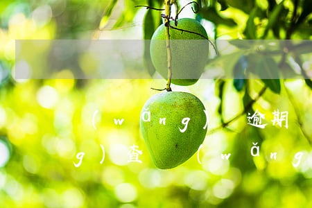 網(wǎng)貸逾期會被公安網(wǎng)查嗎(網(wǎng)貸逾期公安機(jī)關(guān)會立案嗎)