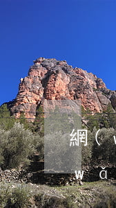 網(wǎng)貸逾期會被媒體公告嗎(網(wǎng)貸逾期網(wǎng)絡(luò)公布是什么意思)