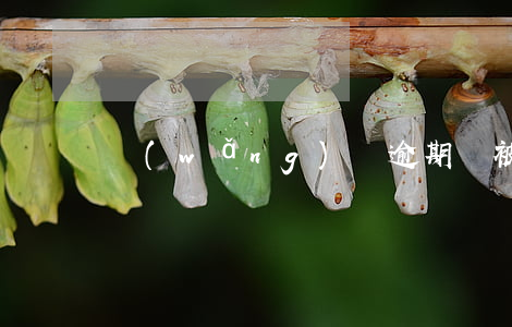網(wǎng)貸逾期會被征信拉黑嗎