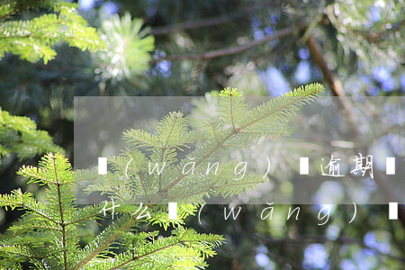 網(wǎng)貸逾期會被所有平臺起訴嗎(什么網(wǎng)貸逾期會被起訴)