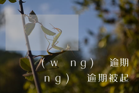 網(wǎng)貸逾期會被起訴坐牢(網(wǎng)貸逾期被起訴會不會坐牢)