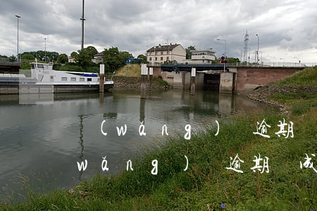 網(wǎng)貸逾期會負刑事責任馮(網(wǎng)貸逾期構成刑事案件嗎)