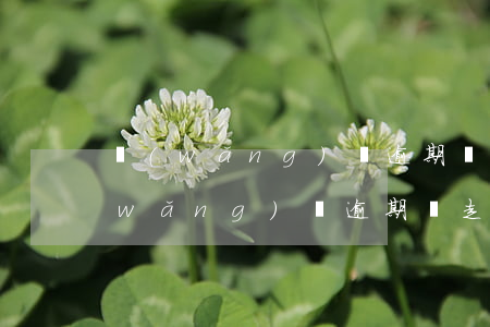 網(wǎng)貸逾期會走法律流程嗎(網(wǎng)貸逾期會走司法程序嗎)