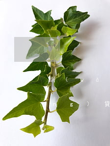 網(wǎng)貸逾期會起訴你嗎(網(wǎng)貸逾期真會被起訴嗎)