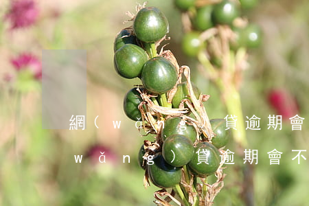 網(wǎng)貸逾期會起訴通訊錄嗎(網(wǎng)貸逾期會不會給通訊錄打電話)