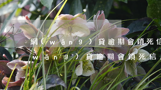 網(wǎng)貸逾期會鎖死信用卡么(網(wǎng)貸逾期會鎖死信用卡么)