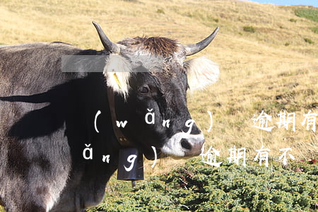 網(wǎng)貸逾期有不還的嗎-網(wǎng)貸逾期有不還的嗎會怎么樣