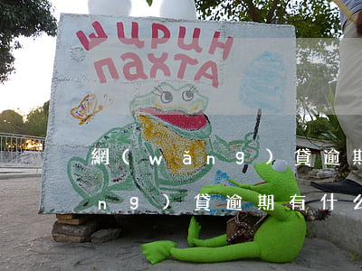 網(wǎng)貸逾期有什么技巧(網(wǎng)貸逾期有什么技巧解決)