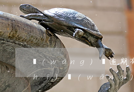 網(wǎng)貸逾期有什么法律知識(shí)(網(wǎng)貸逾期什么后果)
