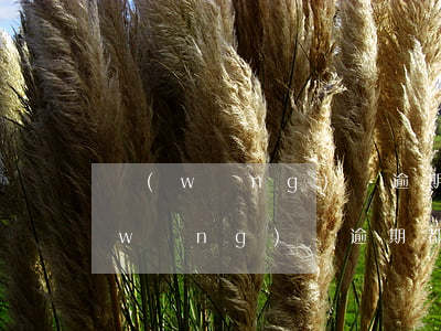 網(wǎng)貸逾期有什么要注意的(網(wǎng)貸逾期都有些什么后果)