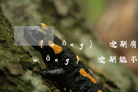 網(wǎng)貸逾期有取消分期的嗎(網(wǎng)貸逾期能不能分期)