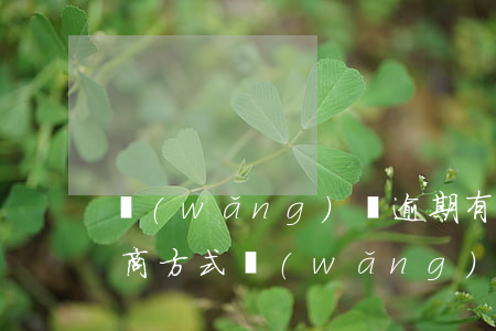 網(wǎng)貸逾期有哪些協(xié)商方式(網(wǎng)貸逾期不同意協(xié)商還款怎么辦)