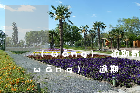 網(wǎng)貸逾期有必要找律師嗎(網(wǎng)貸逾期會發(fā)律師函嗎)