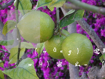 網(wǎng)貸逾期有必要換電話服務(wù)密碼么-網(wǎng)貸逾期有必要換電話服務(wù)密碼么嗎