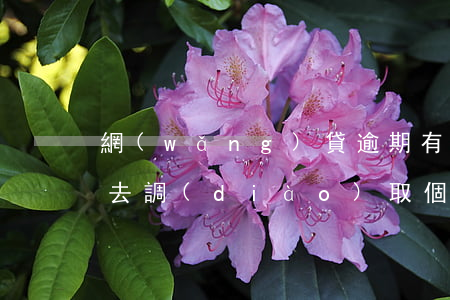 網(wǎng)貸逾期有權(quán)利去調(diào)取個(gè)人檔案嗎-網(wǎng)貸逾期有權(quán)利去調(diào)取個(gè)人檔案嗎知乎