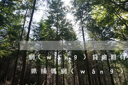 網(wǎng)貸逾期有權(quán)利抓捕嗎(網(wǎng)貸逾期會(huì)拘留嗎)